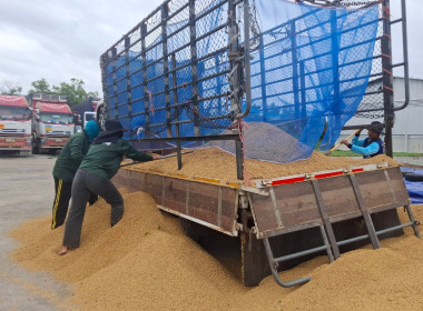 รักษาราชการแทนสหกรณ์จังหวัดบุรีรัมย์ พร้อมคณะ ... พารามิเตอร์รูปภาพ 3