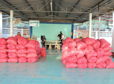 สหกรณ์จังหวัดบุรีรัมย์ ... พารามิเตอร์รูปภาพ 9