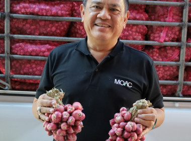 สหกรณ์จังหวัดบุรีรัมย์ ... พารามิเตอร์รูปภาพ 1