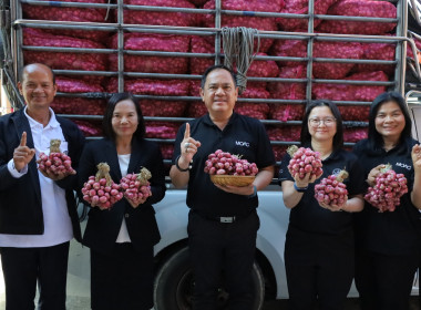 สหกรณ์จังหวัดบุรีรัมย์ ... พารามิเตอร์รูปภาพ 4