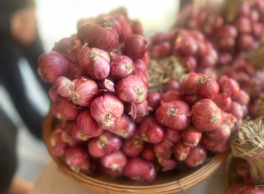 สหกรณ์จังหวัดบุรีรัมย์ ... พารามิเตอร์รูปภาพ 6