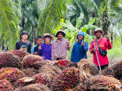 ชุมนุมสหกรณ์ชาวสวนปาล์มน้ำมันกระบี่ จำกัด ... พารามิเตอร์รูปภาพ 1