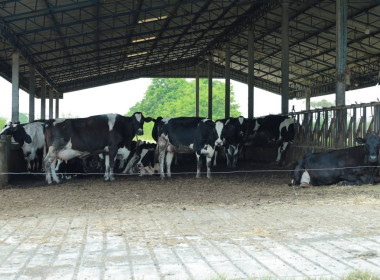 สหกรณ์จังหวัดบุรีรัมย์ ... พารามิเตอร์รูปภาพ 9