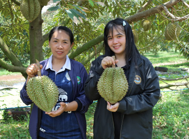 สหกรณ์จังหวัดบุรีรัมย์ พร้อมด้วยข้าราชการ พนักงานราชการ ... พารามิเตอร์รูปภาพ 8
