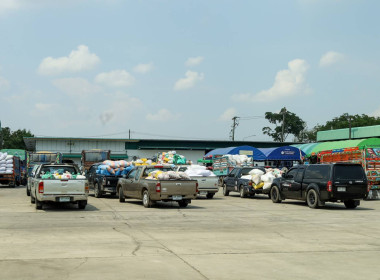สหกรณ์จังหวัดบุรีรัมย์ ร่วมเป็นเกียรติเปิดตลาดนัดข้าวเปลือก ... พารามิเตอร์รูปภาพ 9