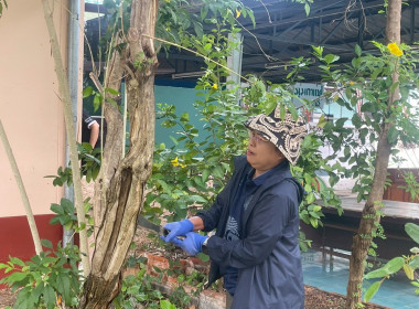 สหกรณ์จังหวัดบุรีรัมย์ พร้อมด้วยข้าราชการ ลูกจ้างประจำ ... พารามิเตอร์รูปภาพ 5