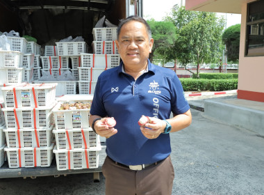 สหกรณ์จังหวัดบุรีรัมย์ ตรวจรับมังคุดจากสหกรณ์การเกษตรกระสัง ... พารามิเตอร์รูปภาพ 3