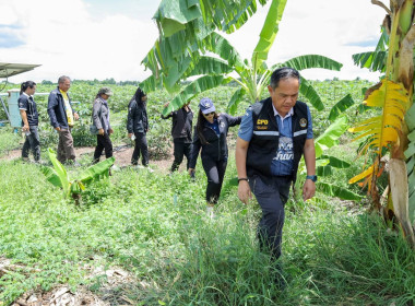 สหกรณ์จังหวัดบุรีรัมย์ ... พารามิเตอร์รูปภาพ 6