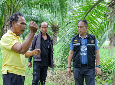 สหกรณ์จังหวัดบุรีรัมย์ ... พารามิเตอร์รูปภาพ 10