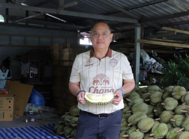 สหกรณ์จังหวัดบุรีรัมย์ ... พารามิเตอร์รูปภาพ 3