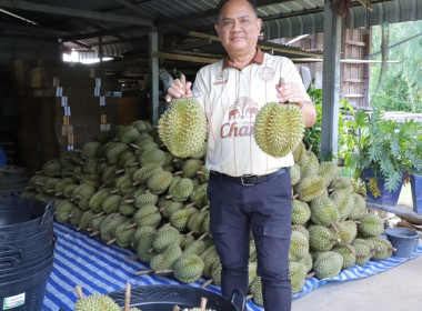 สหกรณ์จังหวัดบุรีรัมย์ ... พารามิเตอร์รูปภาพ 4