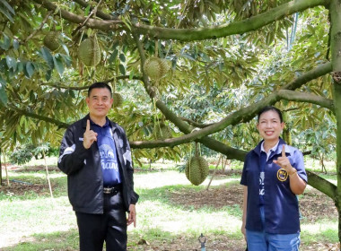สหกรณ์จังหวัดบุรีรัมย์ ... พารามิเตอร์รูปภาพ 1