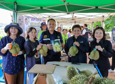 สหกรณ์จังหวัดบุรีรัมย์ ... พารามิเตอร์รูปภาพ 7