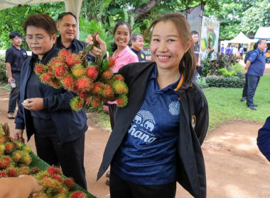 สหกรณ์จังหวัดบุรีรัมย์ ... พารามิเตอร์รูปภาพ 8