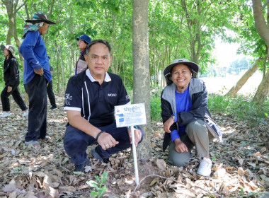 สำนักงานสหกรณ์จังหวัดบุรีรัมย์ ร่วมกับ นิคมสหกรณ์สตึก ... พารามิเตอร์รูปภาพ 19