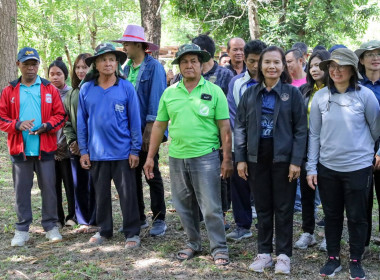 สำนักงานสหกรณ์จังหวัดบุรีรัมย์ ร่วมกับ นิคมสหกรณ์สตึก ... พารามิเตอร์รูปภาพ 18