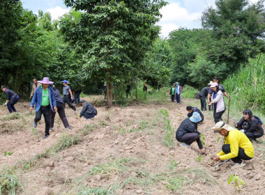 สำนักงานสหกรณ์จังหวัดบุรีรัมย์ ร่วมกับ นิคมสหกรณ์สตึก ... พารามิเตอร์รูปภาพ 16