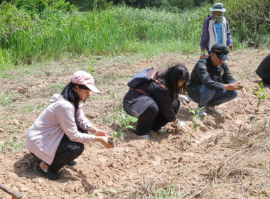 สำนักงานสหกรณ์จังหวัดบุรีรัมย์ ร่วมกับ นิคมสหกรณ์สตึก ... พารามิเตอร์รูปภาพ 17