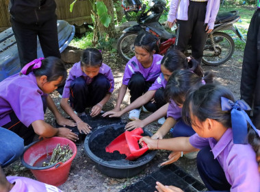 สหกรณ์จังหวัดบุรีรัมย์ ... พารามิเตอร์รูปภาพ 21