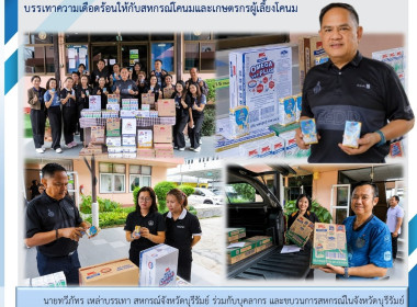 สหกรณ์จังหวัดบุรีรัมย์ ... พารามิเตอร์รูปภาพ 8