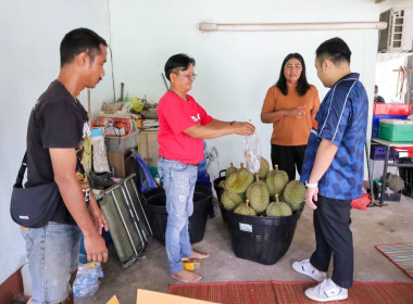 สหกรณ์จังหวัดบุรีรัมย์ ... พารามิเตอร์รูปภาพ 6