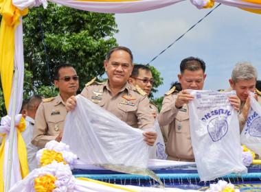 สหกรณ์จังหวัดบุรีรัมย์ ร่วมพิธีปล่อยพันธุ์สัตว์น้ำ ... พารามิเตอร์รูปภาพ 8