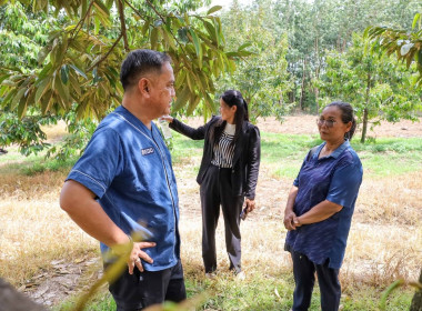 สหกรณ์จังหวัดบุรีรัมย์ ... พารามิเตอร์รูปภาพ 4