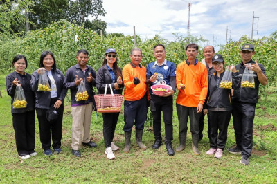 สหกรณ์จังหวัดบุรีรัมย์ ลงพื้นที่ตรวจเยี่ยมสวนพุทราสามรส ... พารามิเตอร์รูปภาพ 1