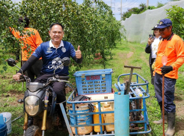 สหกรณ์จังหวัดบุรีรัมย์ ลงพื้นที่ตรวจเยี่ยมสวนพุทราสามรส ... พารามิเตอร์รูปภาพ 3