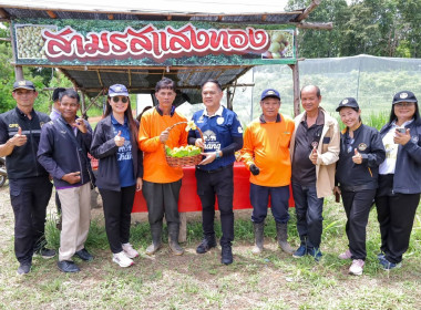 สหกรณ์จังหวัดบุรีรัมย์ ลงพื้นที่ตรวจเยี่ยมสวนพุทราสามรส ... พารามิเตอร์รูปภาพ 8