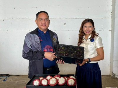 สหกรณ์จังหวัดบุรีรัมย์ ... พารามิเตอร์รูปภาพ 1