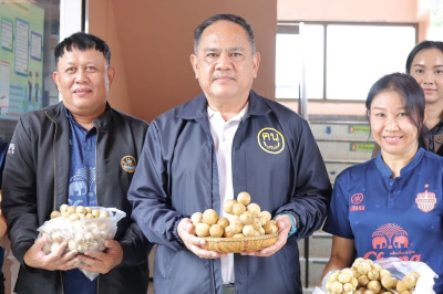 สหกรณ์จังหวัดบุรีรัมย์ ... พารามิเตอร์รูปภาพ 1