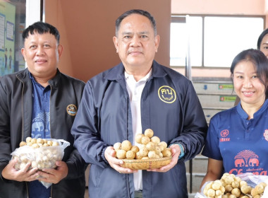 สหกรณ์จังหวัดบุรีรัมย์ ... พารามิเตอร์รูปภาพ 1