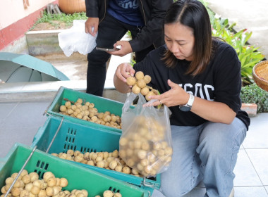 สหกรณ์จังหวัดบุรีรัมย์ ... พารามิเตอร์รูปภาพ 6