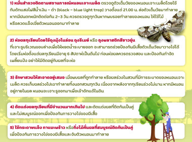 ภัยร้ายที่เกษตรกรต้องระวัง!!! พารามิเตอร์รูปภาพ 4