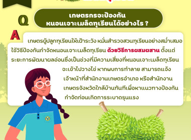 ภัยร้ายที่เกษตรกรต้องระวัง!!! พารามิเตอร์รูปภาพ 7