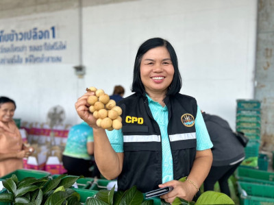 จังหวัดบุรีรัมย์ นำข้าวสารหอมมะลิ 100 % แลกลองกองคุณภาพดี ... พารามิเตอร์รูปภาพ 1