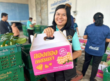 จังหวัดบุรีรัมย์ นำข้าวสารหอมมะลิ 100 % แลกลองกองคุณภาพดี ... พารามิเตอร์รูปภาพ 2