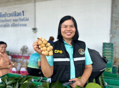 จังหวัดบุรีรัมย์ นำข้าวสารหอมมะลิ 100 % แลกลองกองคุณภาพดี ... พารามิเตอร์รูปภาพ 1