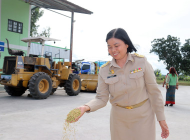 เข้าร่วมตรวจเยี่ยมและติดตามการรวบรวมข้าวเปลือกแห้งของสหกรณ์การเกษตรห้วยราช จำกัด ... พารามิเตอร์รูปภาพ 2