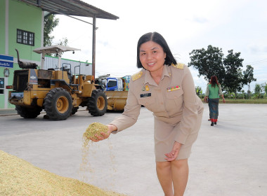 เข้าร่วมตรวจเยี่ยมและติดตามการรวบรวมข้าวเปลือกแห้งของสหกรณ์การเกษตรห้วยราช จำกัด ... พารามิเตอร์รูปภาพ 1