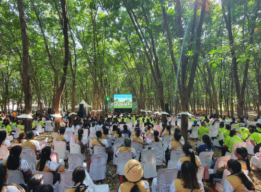 “เครือข่ายเกษตรกรมั่งคั่ง เสริมพลังเศรษฐกิจไทย RAOT ... พารามิเตอร์รูปภาพ 7