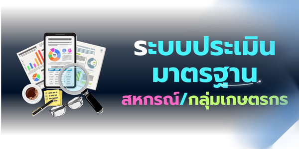 ระบบประเมินมาตรฐาน