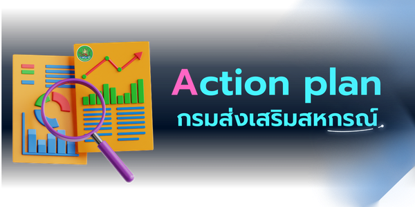 Action Plan